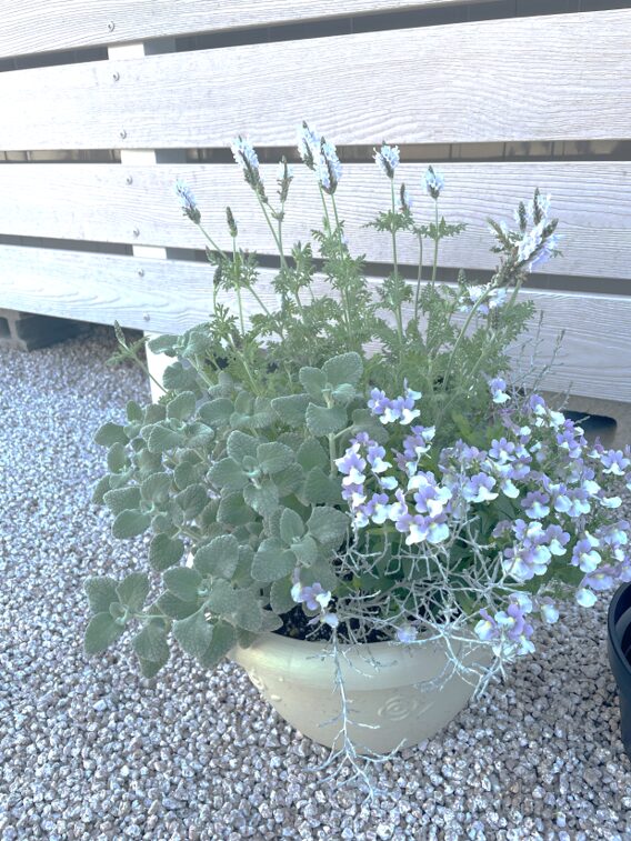 出雲市 外構デザイン 鉢植えの植栽で彩る玄関まわり